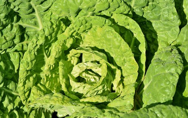 Топ-5 продуктов, которые мешают добиться плоского живота