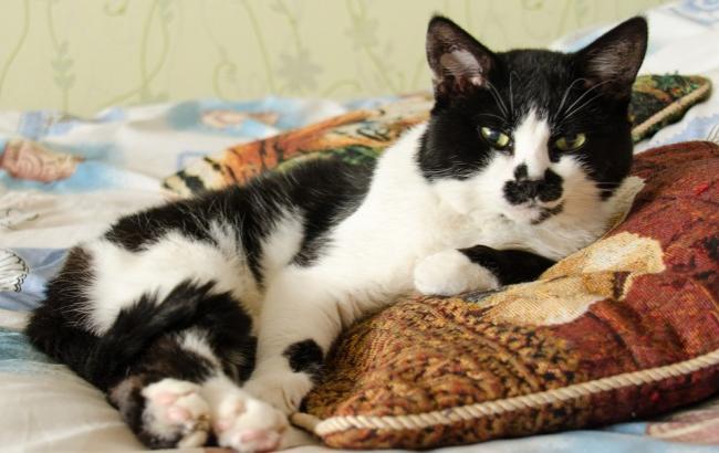 Итоги дня: 13 апреля