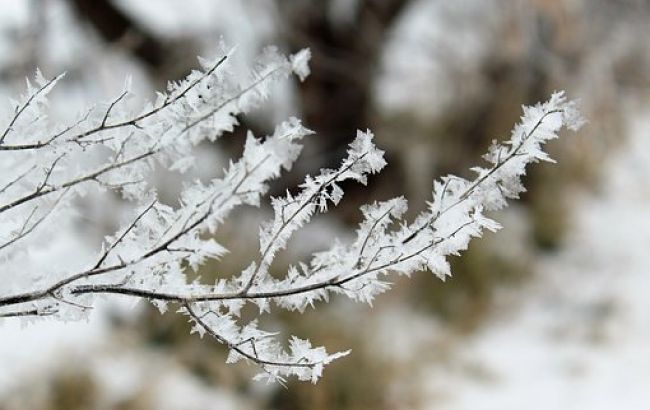 Морози та снігопади: українцям розповіли про погоду на вихідних