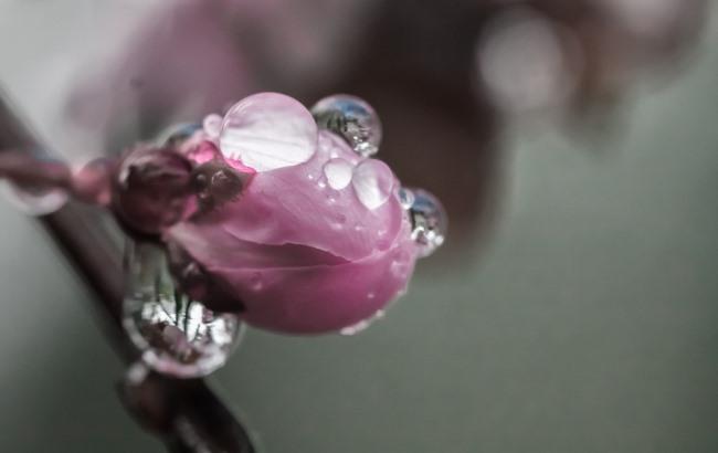 Итоги дня: 3 июля