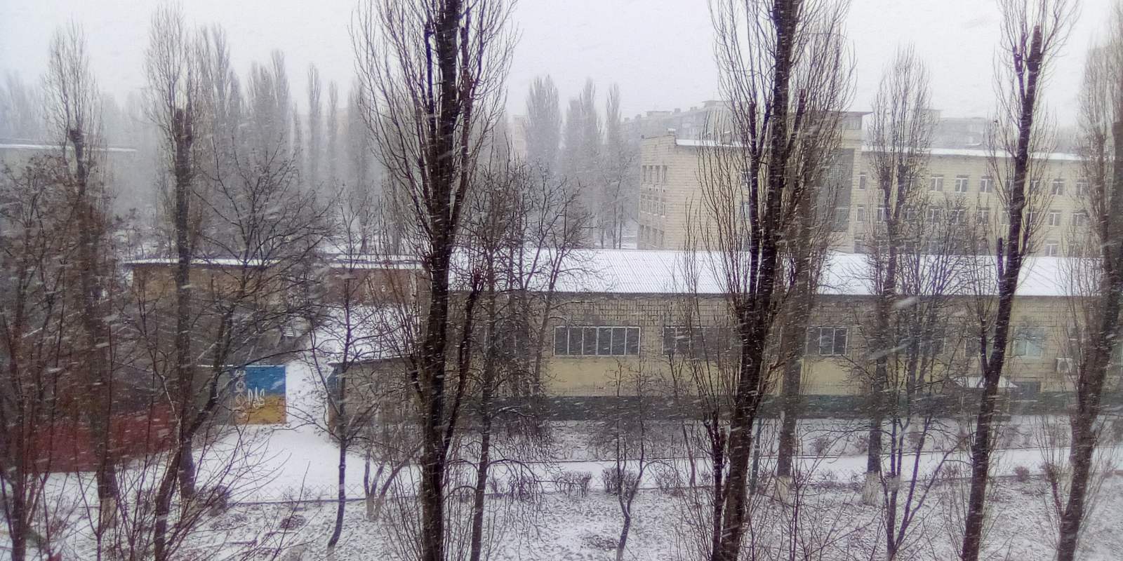 Київ засипає снігом: з'явилися яскраві фото і відео