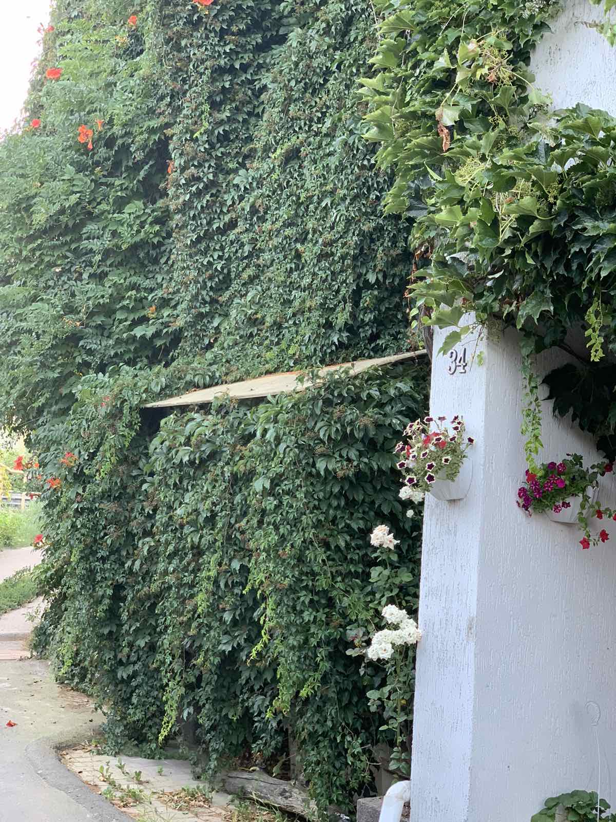 "Маленька Італія": українцям показали найкращі місця для бюджетного відпочинку в Одесі