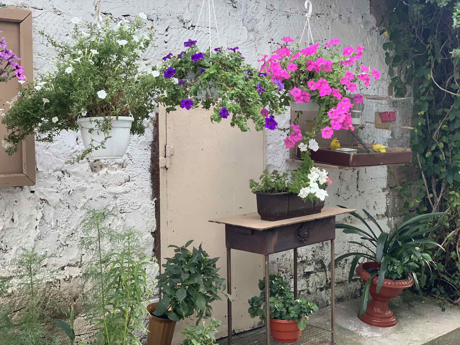 "Маленька Італія": українцям показали найкращі місця для бюджетного відпочинку в Одесі