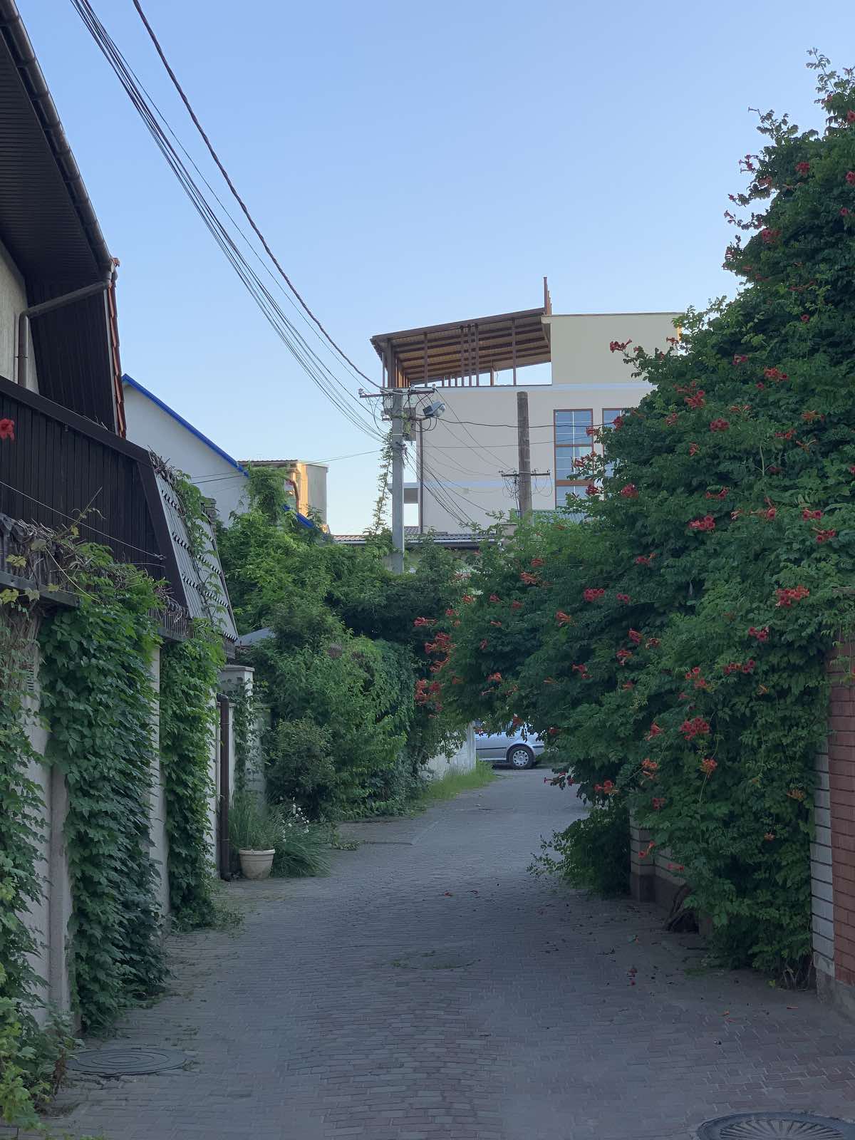 "Маленька Італія": українцям показали найкращі місця для бюджетного відпочинку в Одесі