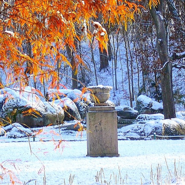 В Украину пришла сказочная зима: на фото попали невероятные пейзажи