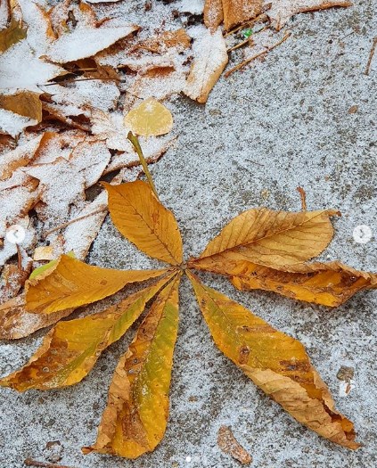 На Украину надвигается снегопад: эти города засыпет уже сегодня