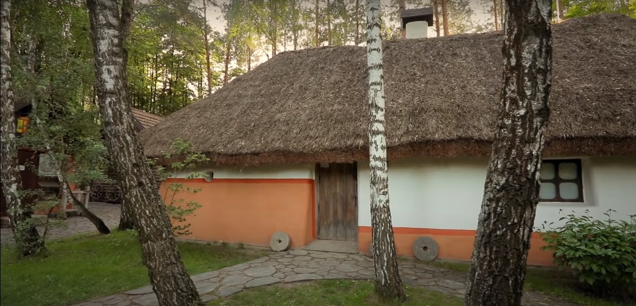 Авокадо прямо з дерева та "морезамінник": топ місць відпочинку під Києвом від Лесі Нікітюк