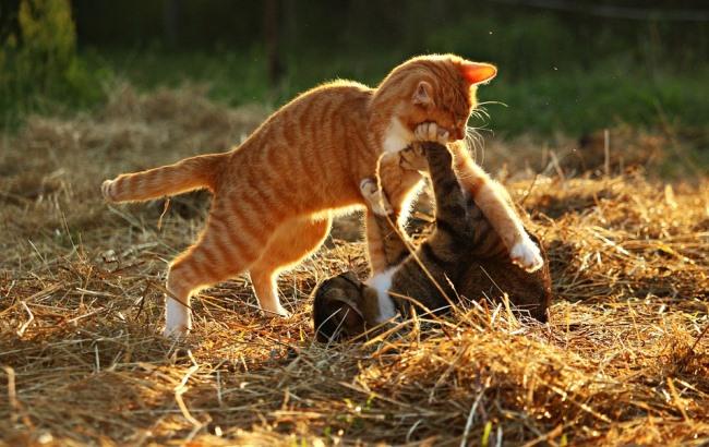 Итоги дня: 28 апреля