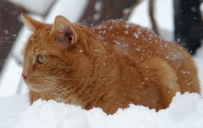 Итоги дня: 26 октября