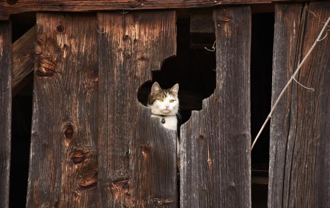 Підсумки дня: 15 червня