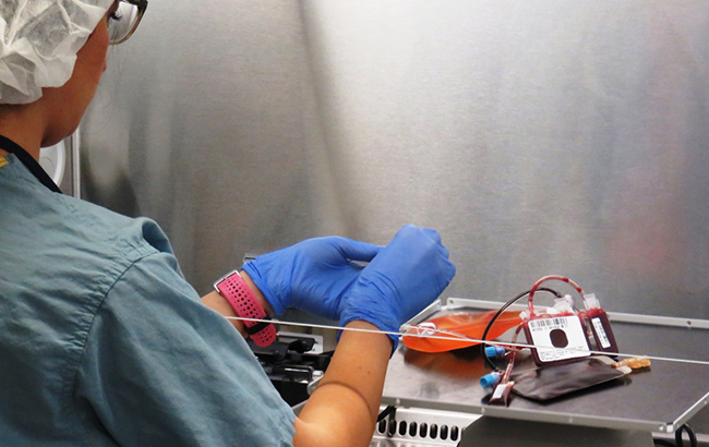 Що таке пуповинна кров і для чого вона потрібна українцям