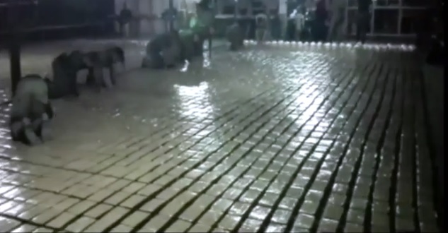 В джунглях Колумбии обнаружены секретные нарколаборатории