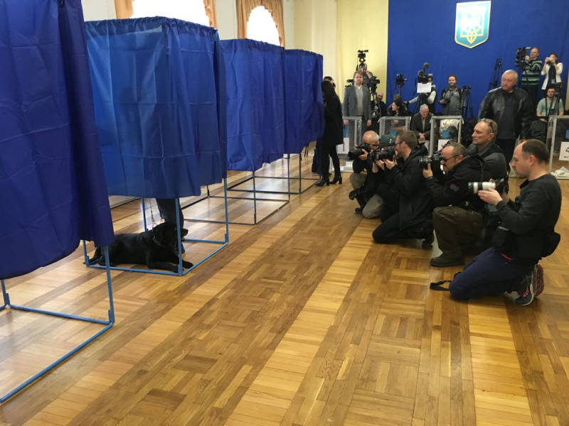 Курйози на виборах 2019: прибульці, собаки і каструлі