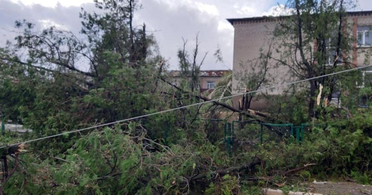 Под Херсоном пронесся ураган: деревья вырваны с корнями, сорваны крыши домов