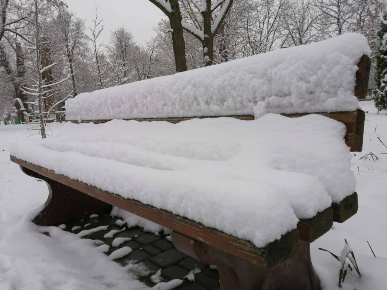 В Украину пришла сказочная зима: на фото попали невероятные пейзажи