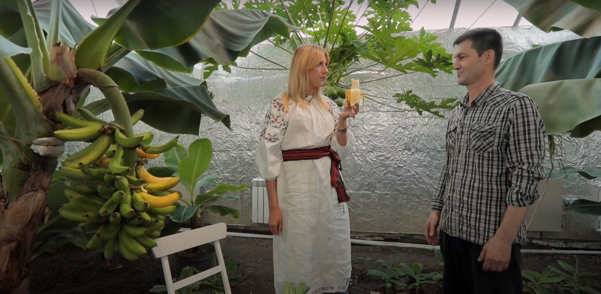 Авокадо прямо з дерева та "морезамінник": топ місць відпочинку під Києвом від Лесі Нікітюк