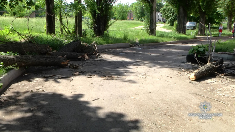 У Черкасах на групу школярів впало дерево, четверо дітей госпіталізовано