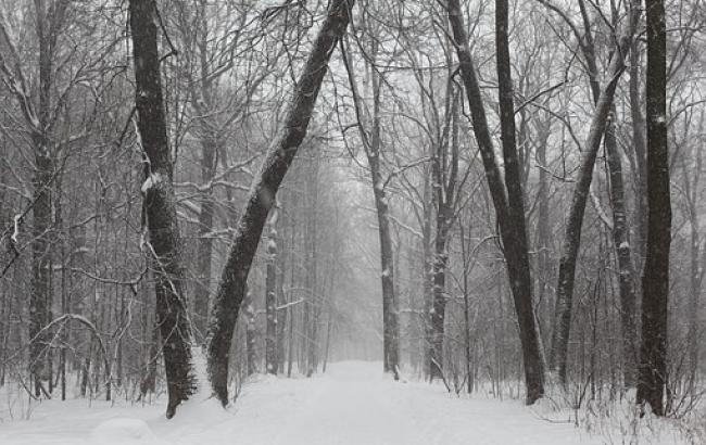 Контрасти і нестандартна погода на Водохреща: синоптики дали прогноз на тиждень