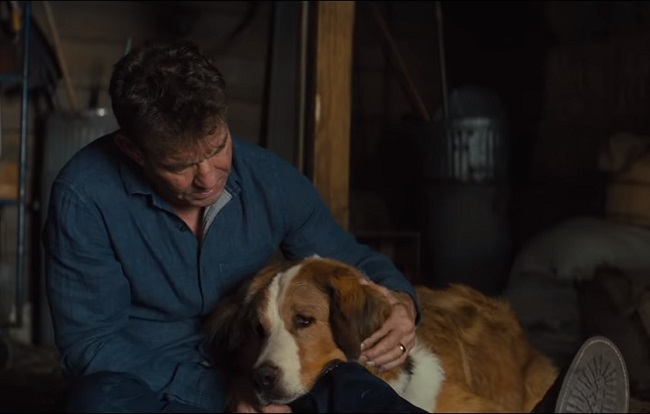 Кадр из фильма