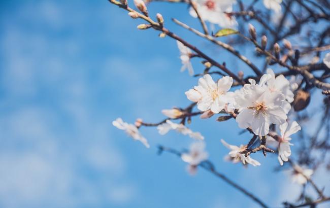 Итоги дня: 3 мая