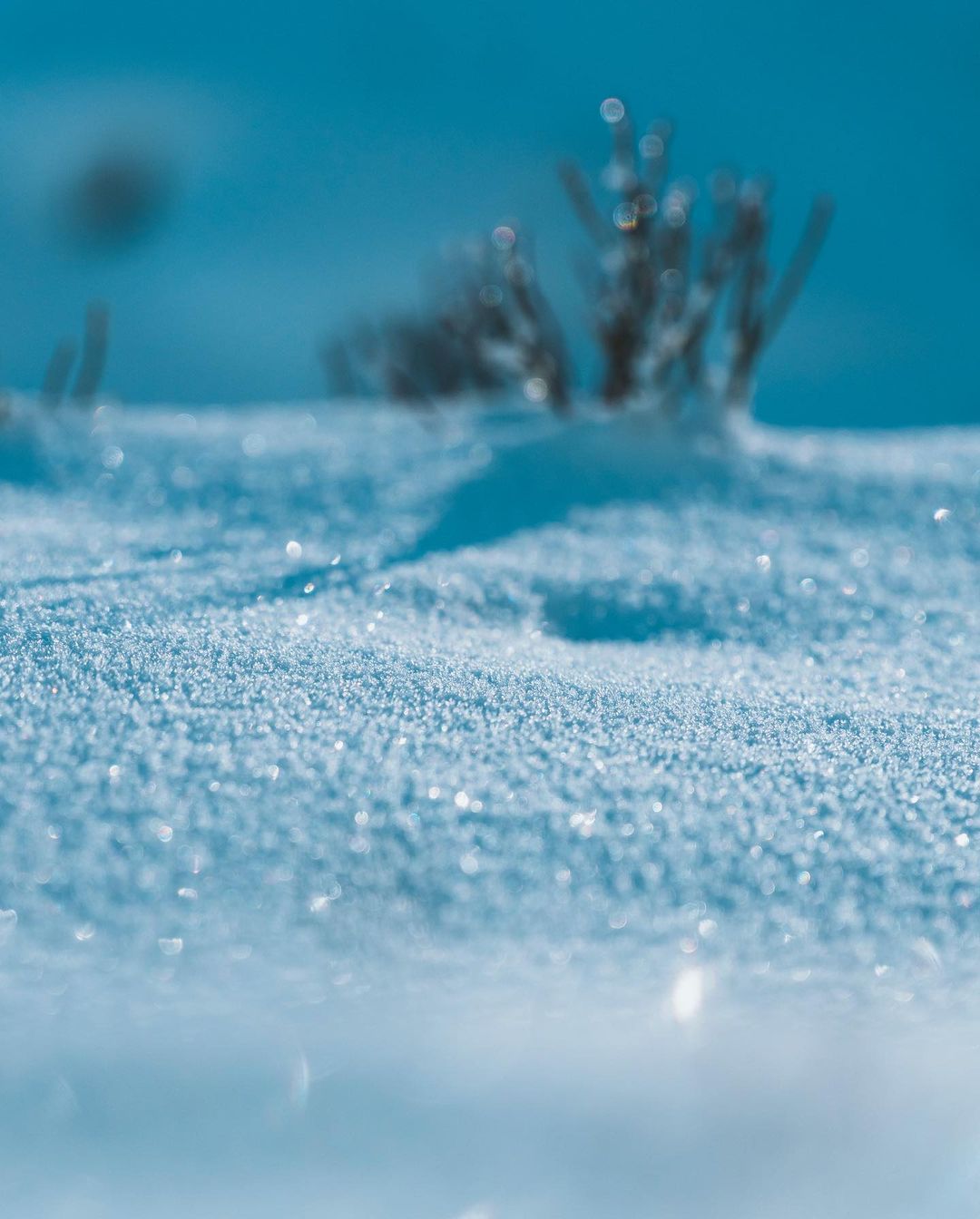 Зима в ноябре: регион Украины засыпает пушистым снегом (фото)