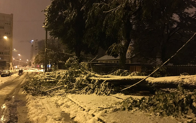 У Франції через сильні снігопади без світла залишились 195 тис. домівок