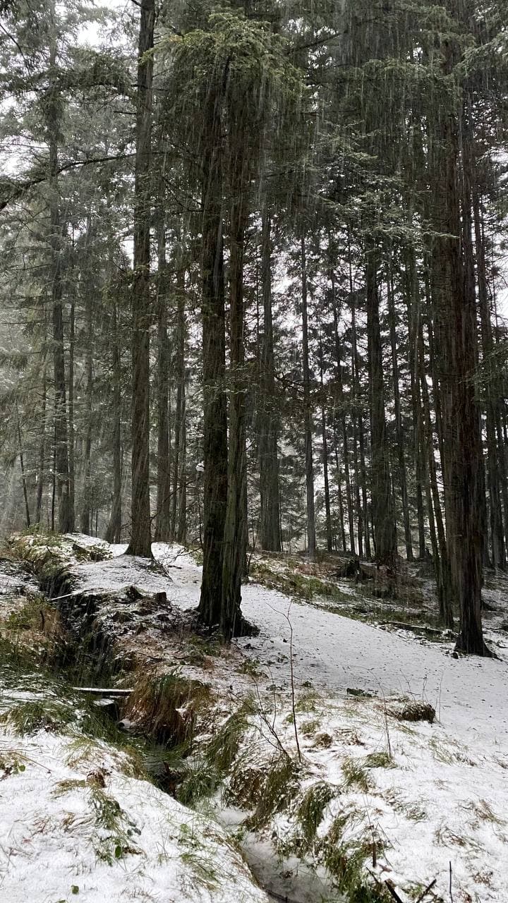 На популярном курорте редкое природное явление создало сказочный пейзаж (фото и видео)