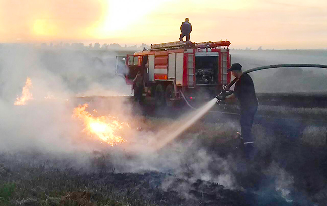 Во Львовской области сгорело 20 000 кв. м поля