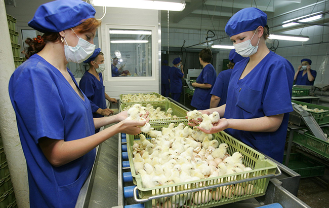 Мироновский хлебопродукт Косюка: свежие новости, статистика и финансовая информация