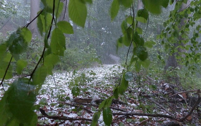 Справжня стихія: синоптики дали страхітливий прогноз погоди