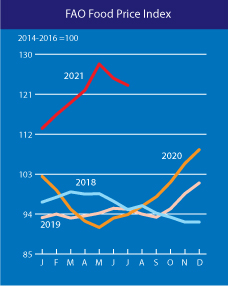 Мировые цены на продовольствие падают второй месяц подряд