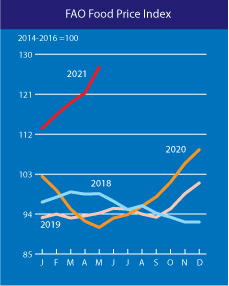 Світові ціни на продовольство за рік зросли майже на 40%