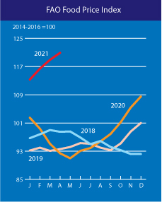 Світові ціни на продовольство за рік зросли на 30%