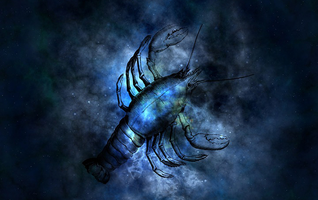 Браки и волнительные встречи: любовный гороскоп на 2019 год