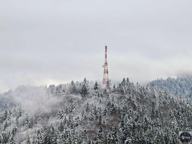 Львів'яни на повітряній кулі облетіли Карпати і потрапили в Книгу рекордів України (відео)