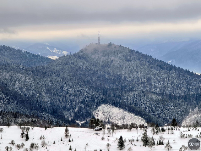 Львів'яни на повітряній кулі облетіли Карпати і потрапили в Книгу рекордів України (відео)