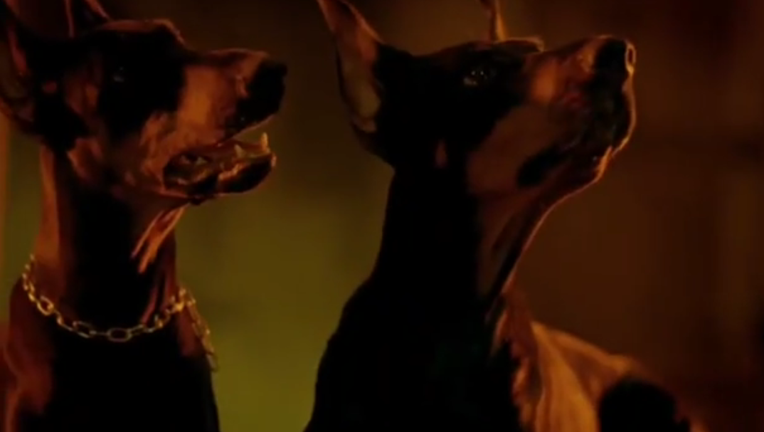 "Очень быстро остывала вода": Брежнева рассказала о съемках клипа