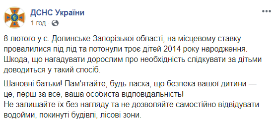 У Запорізькій області під кригу провалилися діти