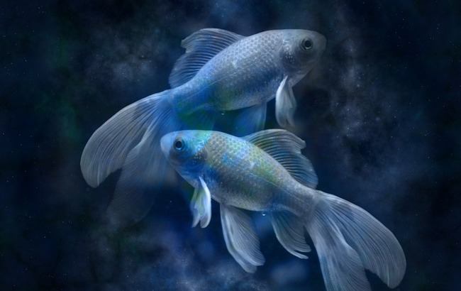 Браки и волнительные встречи: любовный гороскоп на 2019 год