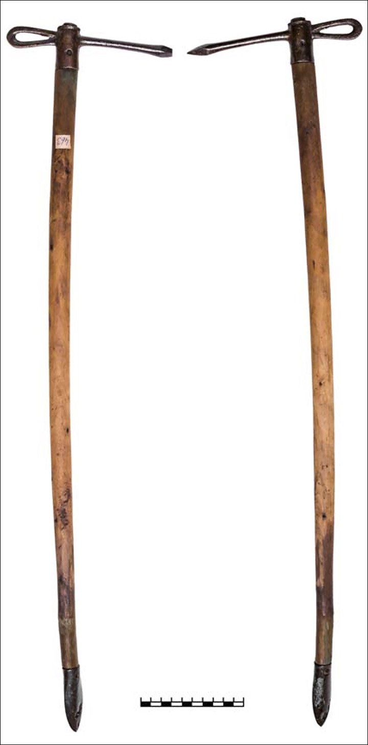 Археологи разгадали тайну скифского воина: он оказался 13-летней девочкой