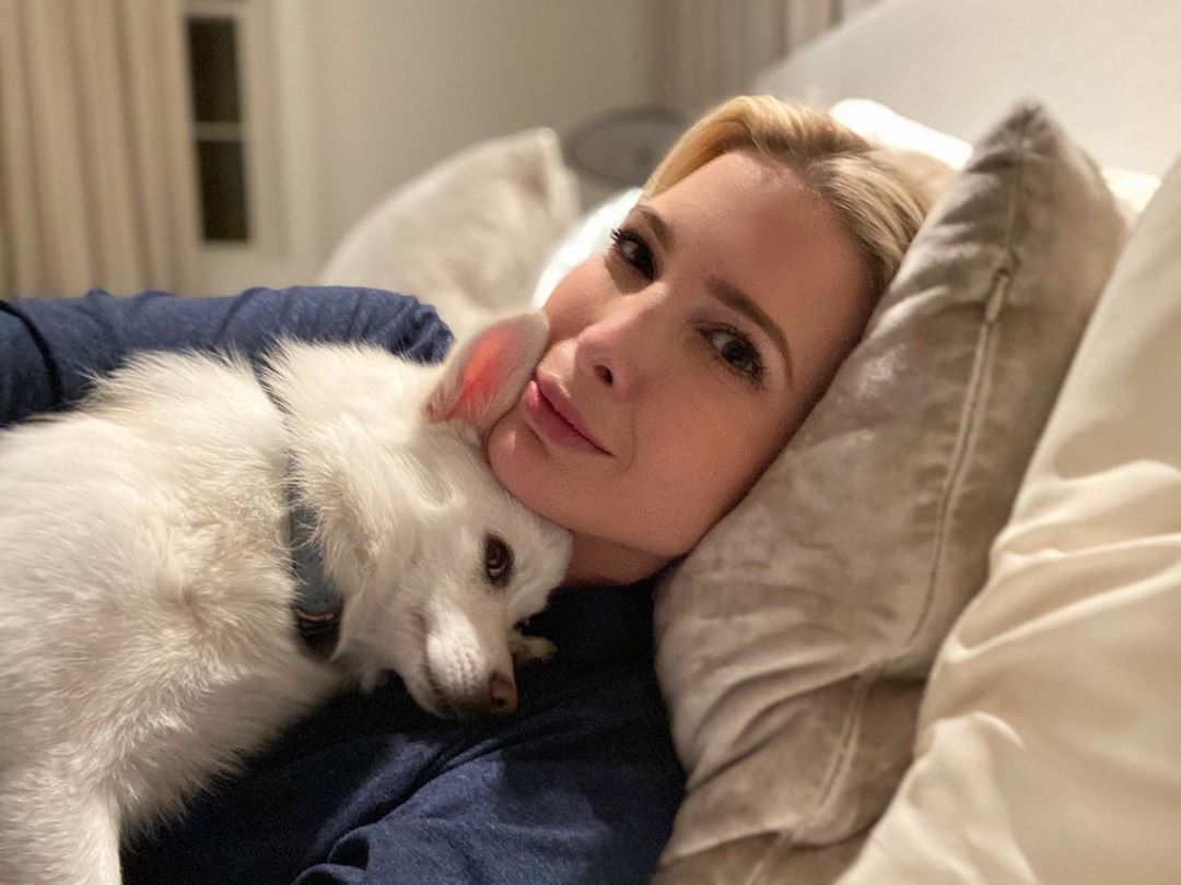 Иванка Трамп в платье за $2040 и золотых лодочках эффектно выделила формы