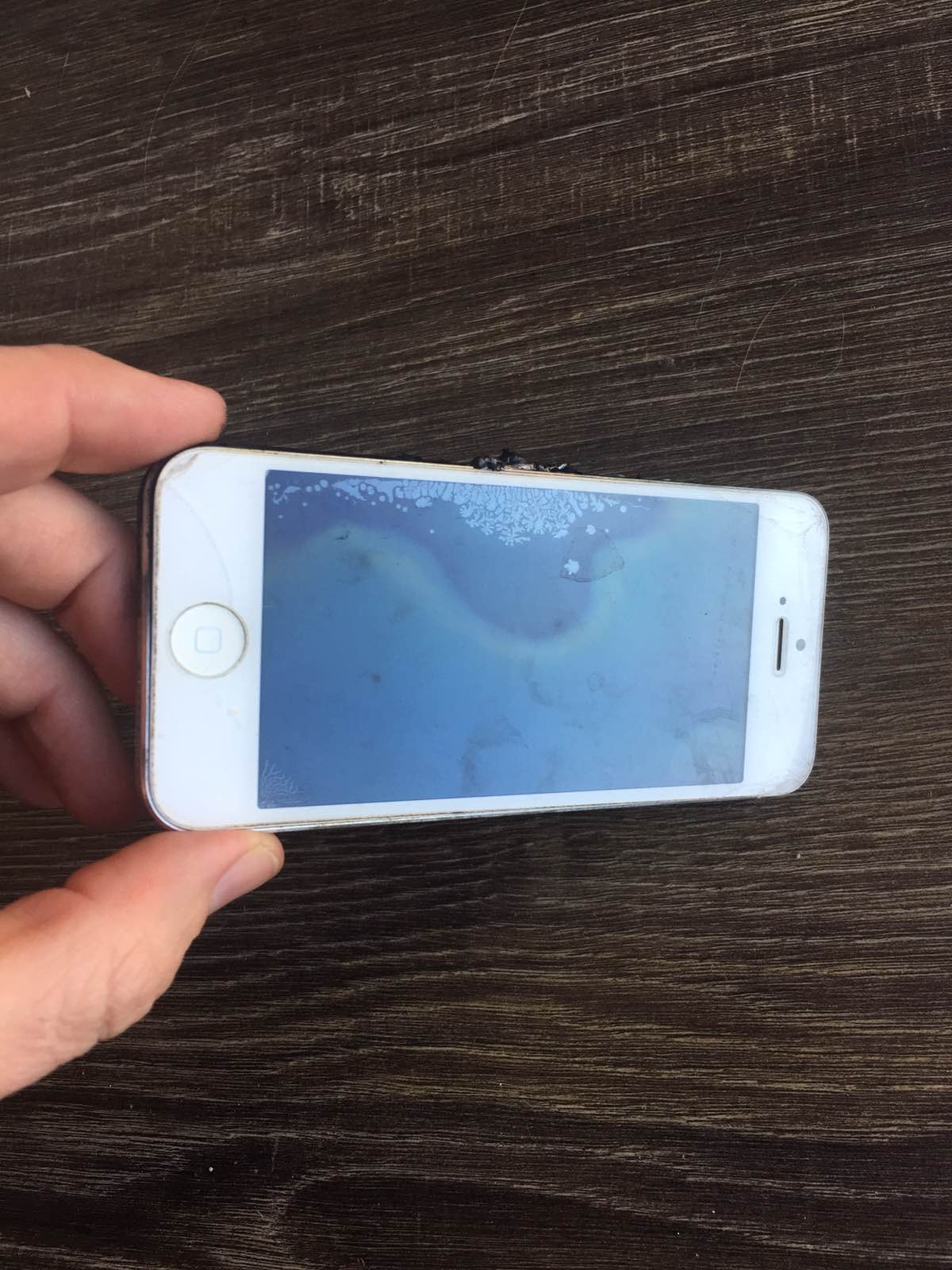 У Запоріжжі у дитини в руках вибухнув iPhone (відео)