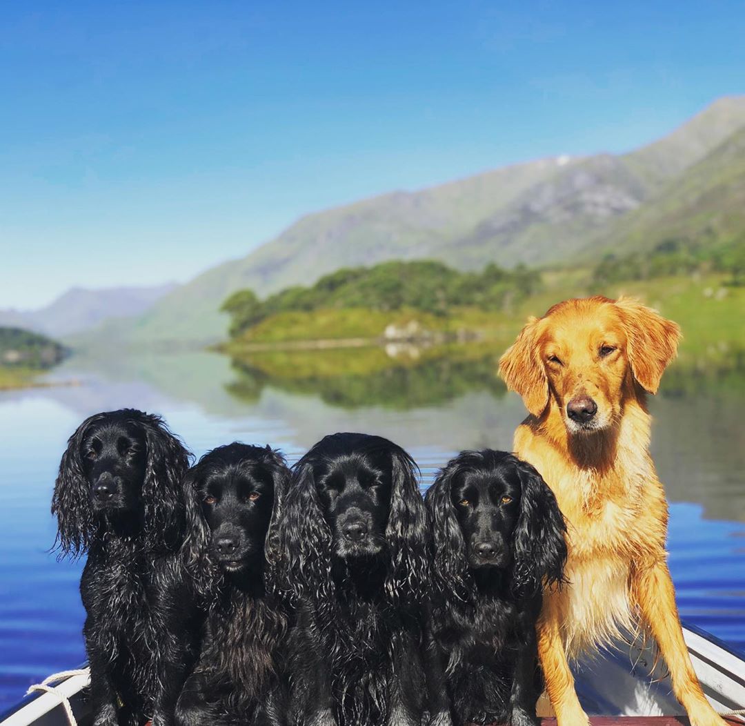 Брат Кейт Міддлтон більше не може гадати і скасовує своє весілля