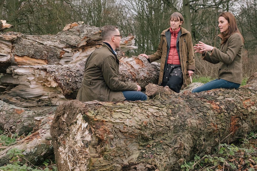 Водоспади і будиночок на дереві: Кейт Міддлтон створює унікальний сад