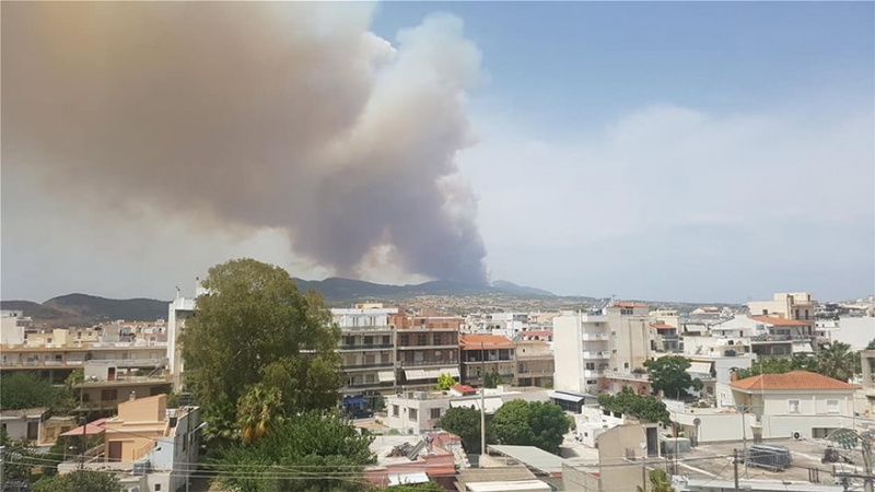 У Греції масштабна лісова пожежа, люди тікають з домівок