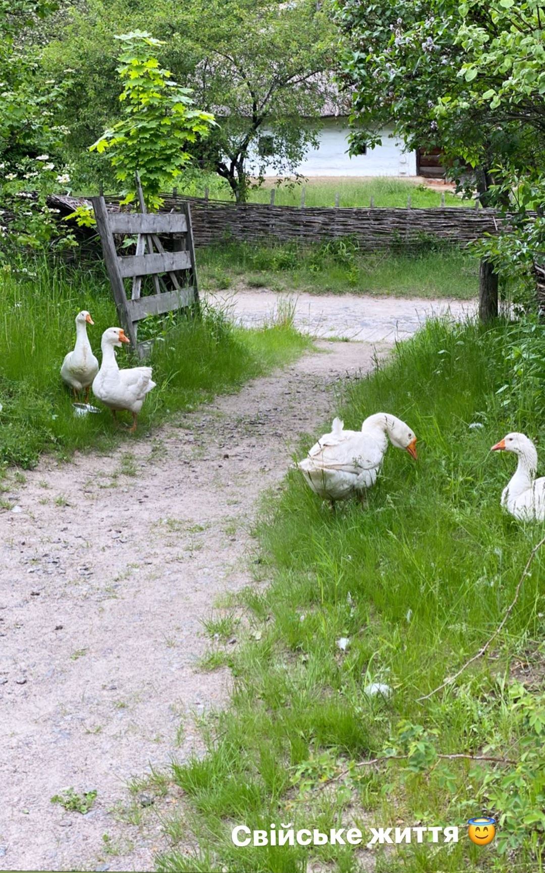 Козак и козачка: Осадчая и Горбунов заинтриговали совместной съемкой с народным колоритом