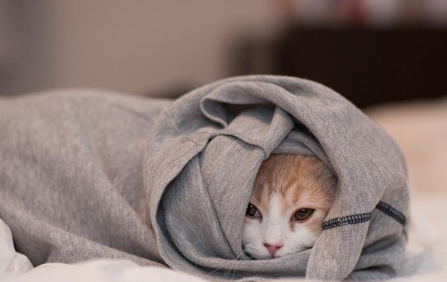 Підсумки дня: 29 березня