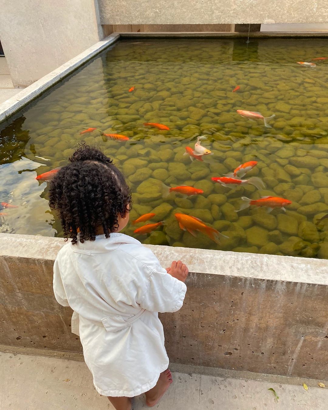 Просто вау: Кайли Дженнер вызвала восторг роскошной фигурой в облегающем платье