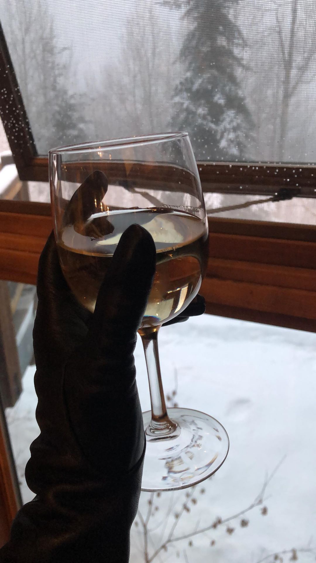 Спокуслива Снігуронька: Кайлі Дженнер засипала мережу гарячими фото в облягаючому комбінезоні