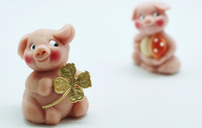 2019 год Желтой Земляной Свиньи